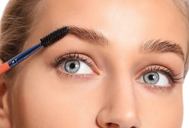 Browlifting Schulung Stuttgart